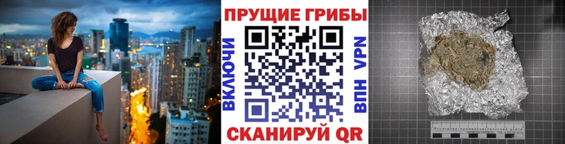 Псилоцибиновые грибы Psilocybe Суоярви