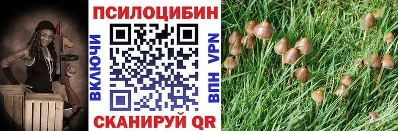 дарнет шоп  Суоярви  Галлюциногенные грибы GOLDEN TEACHER 
